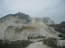 TL-A1 Calcium Carbonated Powder